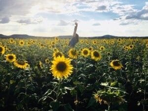 Accessible Anytime, Anywhere